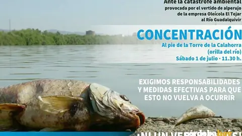 concetraci&oacute;n por un r&iacute;o vivo