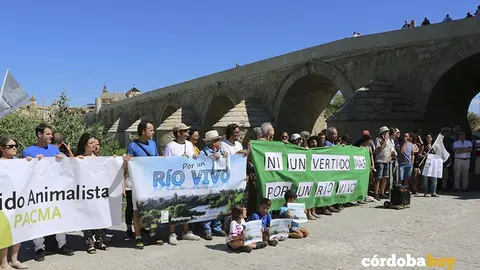 RIO 2