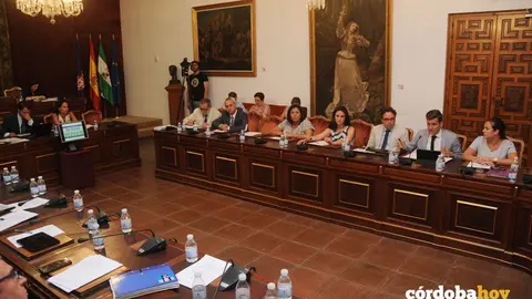 pleno diputacion