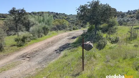 Camino rural de la Sierra de C&oacute;rdoba