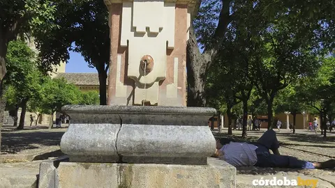 calor fuente 