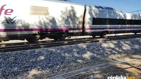 Tren AVE a su paso por C&oacute;rdoba