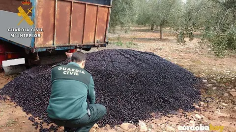 guardia civil aceituna 