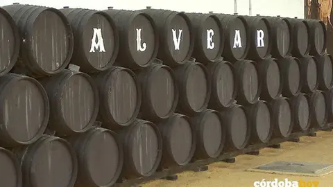 Bodegas Alvear