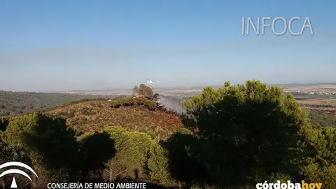 Estabilizado incendio Villafranca