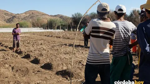 Huertos familiares en Sudafrica 6