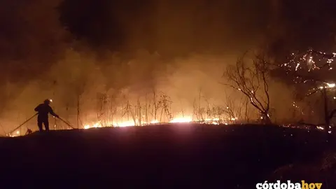 Incendio en Alcolea agosto de 2017