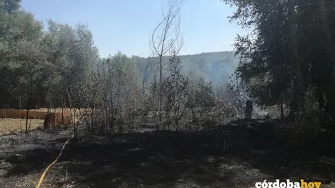 Incendio en Alcolea