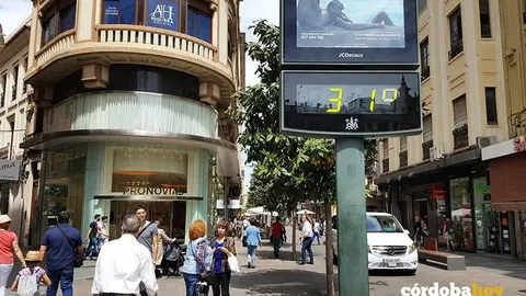 31 grados