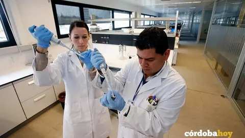 Investigaci&oacute;n en la UCO