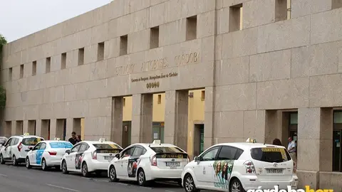 Taxis en la estaci&oacute;n de autobuses