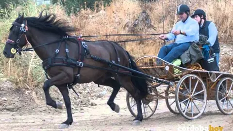 Carrera de postas en La Carlota
