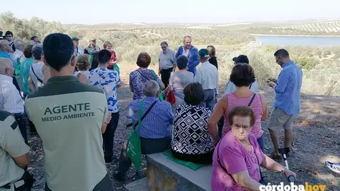 Mayores