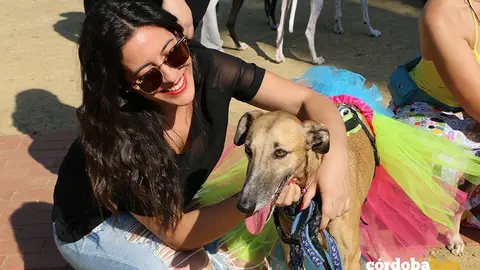 Galgos 3