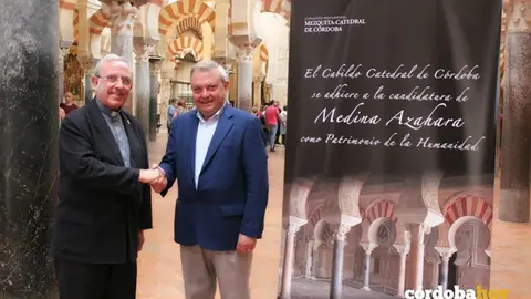 El Cabildo se adhiere al proyecto de Medina Azahara