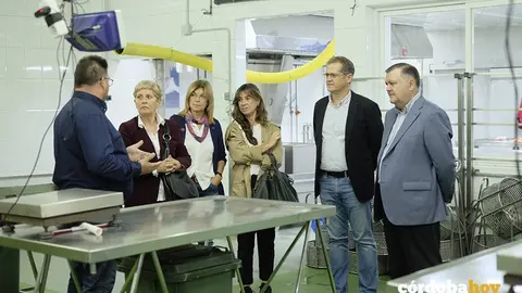 Visita a Albacor en Castro del R&iacute;o