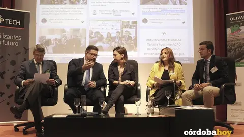 Tertulia olivar en C&oacute;rdoba