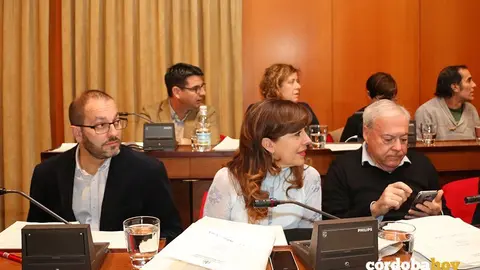 Pleno 5