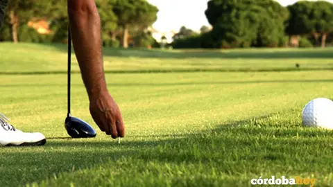 c&eacute;sped de golf 1