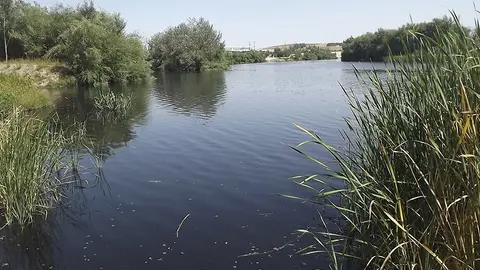 Aspecto negruzco de las aguas del r&iacute;o tras el vertido FOTO- C&Oacute;RDOBA SOLIDARIA