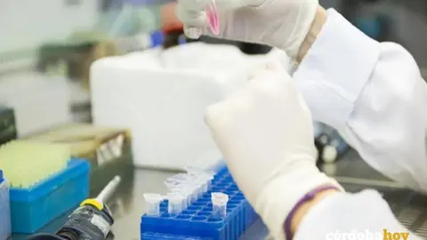 Canvax Biotech