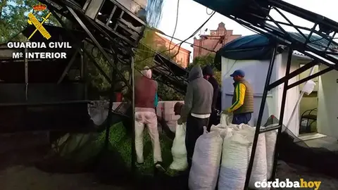 Operaci&oacute;n Oro L&iacute;quido 4