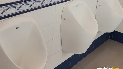 Nuevos urinarios en el Alcázar de los Reyes Cristianos