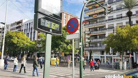 16 grados