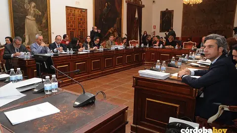 PLeno diputaci&oacute;n