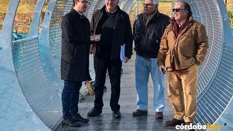 Pasarela parque Asomadilla