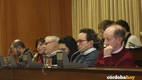 PLENO PRESUPUESTOS