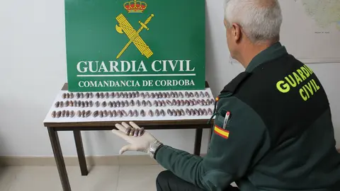 Hach&iacute;s intervenido