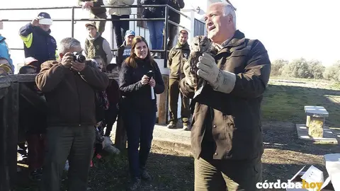 Suelta de cárabo