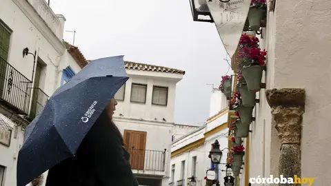 Lluvia en la capital