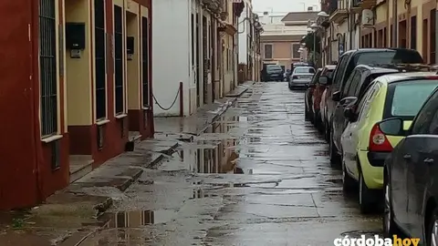 Calzada 2