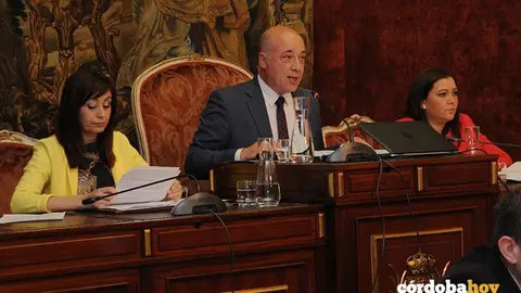 Pleno dipu