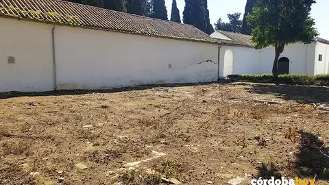 Parte de la parcela para el velatorio municipal en San Rafael 2