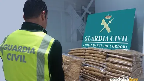 Picadura