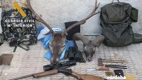 Armas y reses incautadas