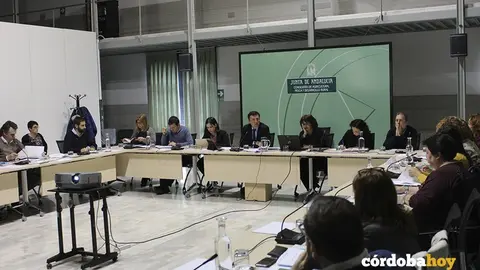 la Reunión  del comité de seguimiento del I Plan de Igualdad de Oportunidades entre  Mujeres y Hombres en la Actividad Agroalimentaria y Pesquera de  Andalucía