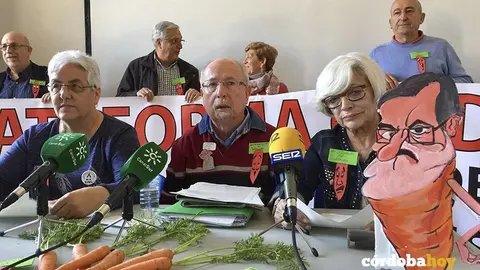 Representantes de la Plataforma Ciudadana en Defensa del Sistema de Pensiones Públicas
