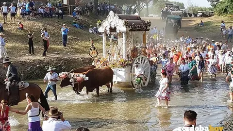 Hermandad del Roc&iacute;o de C&oacute;rdoba en plena peregrinaci&oacute;n a Huelva