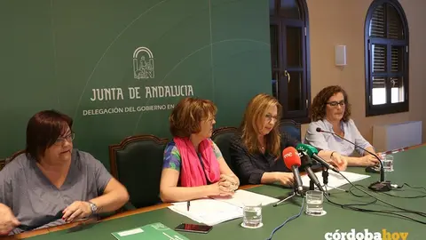 Voluntariado