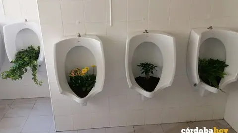 Ba&ntilde;os educaci&oacute;n
