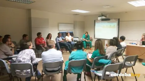 cursos formaci&oacute;n Reina Sof&iacute;a