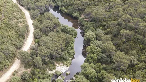 Zona de los Ba&ntilde;os de Popea, en C&oacute;rdoba, en una imagen de archivo