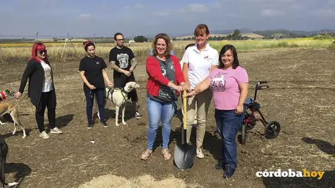Galgos del sur