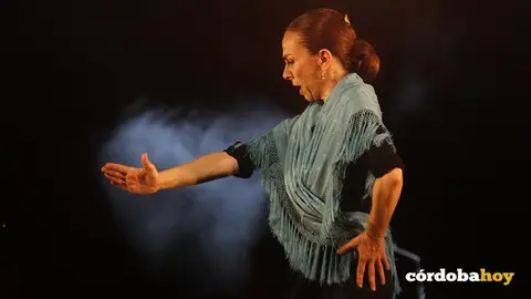 Noche Blanca del Flamenco