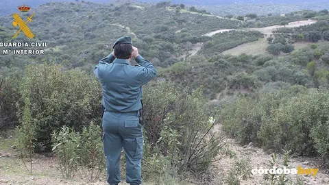 Guardia Civil del Seprona