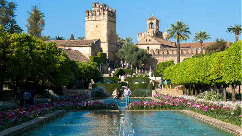 Cordoba